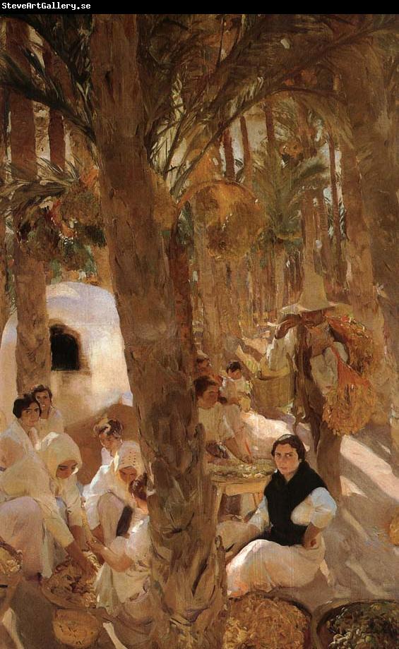 Joaquin Sorolla Dates Lin